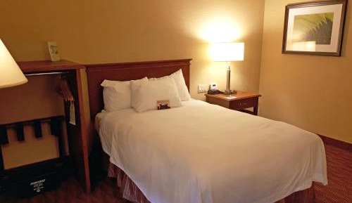 Double Room with Roll in Shower - Non-Smoking