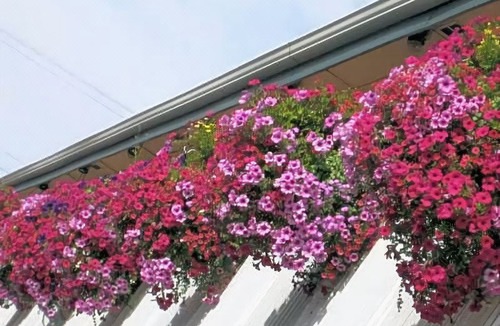 Pendleton Hotel | Travelodge by Wyndham Pendleton or