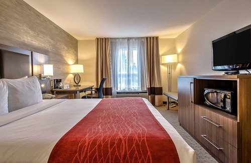 Southwest Calgary Hotel | Comfort Inn & Suites South