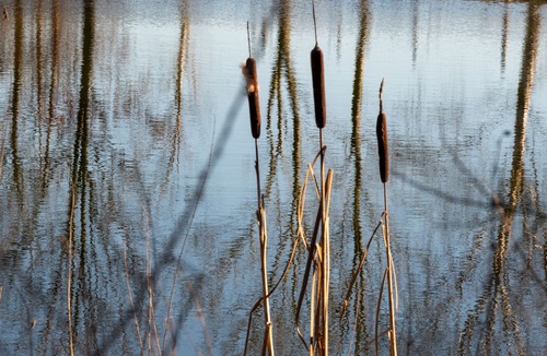 Amerton Hotel | Common Farm Motel