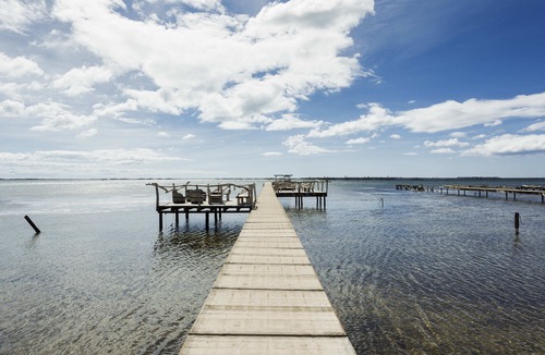 Aiguerelles Hotel | Ibis Montpellier Sud