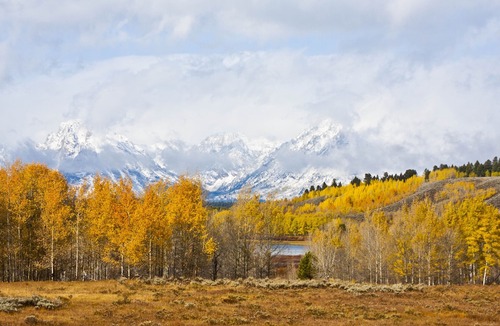 Jackson Hole Hotel | The Wort Hotel