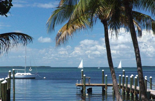 Key Largo Hotel | The Pelican Key Largo Cottages