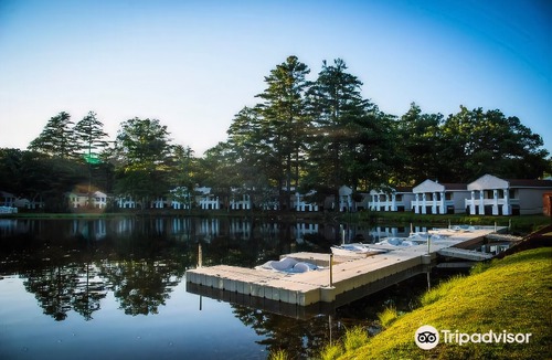 Cresco Hotel | Paradise Stream Resort