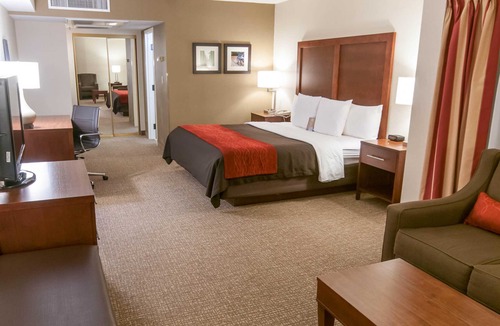 Stafford Hotel | Comfort Inn Quantico