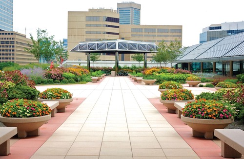 Baltimore Hotel | Hampton Inn Baltimore Bayview Campus