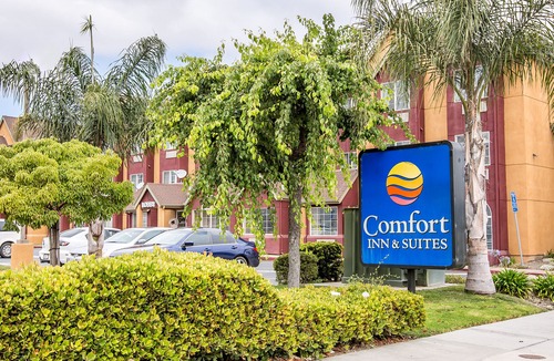 Salinas Hotel | Comfort Inn & Suites Salinas