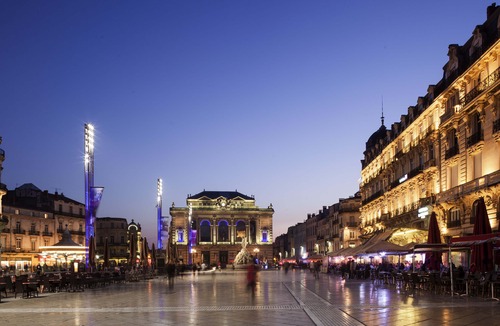 Aiguerelles Hotel | Ibis Montpellier Sud