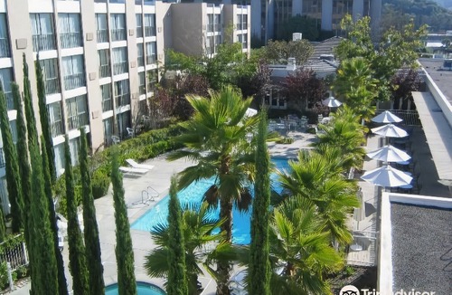 San Rafael Hotel | Four Points by Sheraton San Rafael Marin County