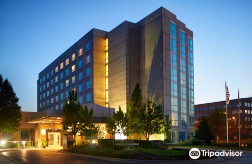 Burr Ridge Hotel | Chicago Marriott Southwest at Burr Ridge