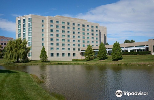 Burr Ridge Hotel | Chicago Marriott Southwest at Burr Ridge