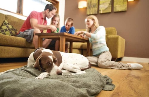 North York Moors National Park Cabin | 2 bedroom accommodation in Cropton, Pickering