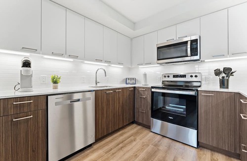 Allston Apartment | Luxury 2bd/2ba near Harvard 0396