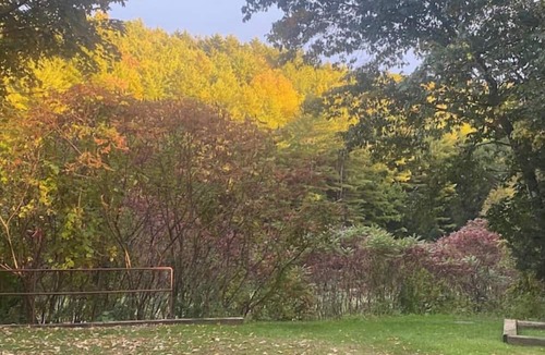 Drewsville House | Cozy private studio -full kitchen and bathnn