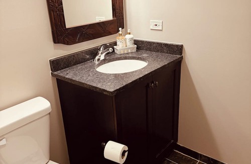 Bridgeport Condo | Spacious 5-bedroom 4-bath condo with Fireplace, Patio and WiFi in Chicago