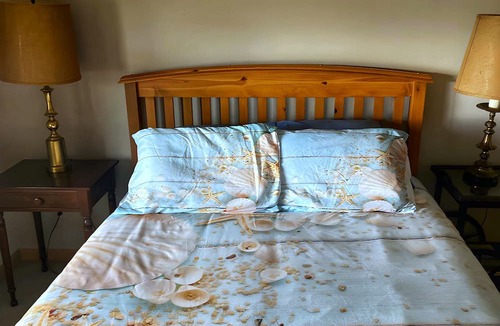 Burley House | Coastal Bliss: Your Dream Beachfront Getaway