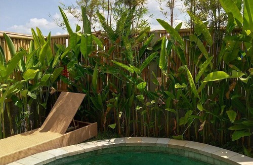 Dalung House | Cozy 2-bedroom villa with pool in Padonan, Canggu
