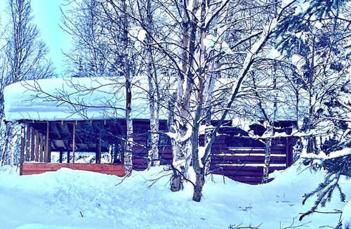 Chase House | Denali View Primitive Cabin-HCRL