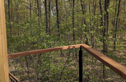 West Lincoln Cabin | Modern Cabin in the Woods