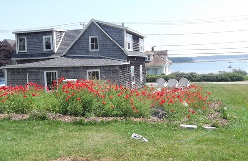 Jonesport House | Historic house in working waterfront