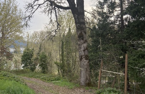 Cottage Grove Apartment | Lake house Tiny