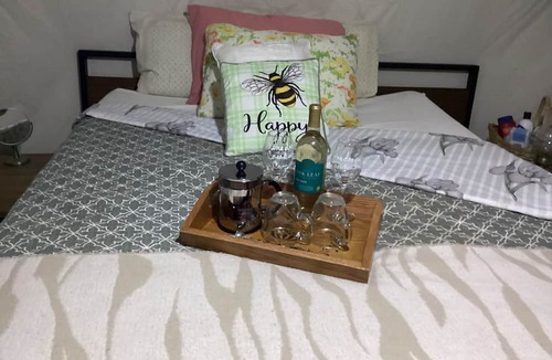 Turtletown RV Rental | Camping with a Twist