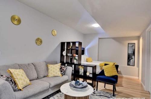 Webster Square Apartment | New Modern Studio