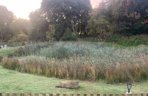 Cuddesdon House | Glamping Bell Tent 1