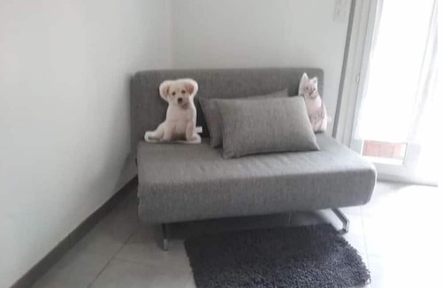 Miplaine Apartment | 2 Pièces Avec Jardinet Proche Eurexpo et Stade