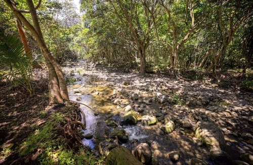 Punaluu Cabin | Majestic Cabin Stay