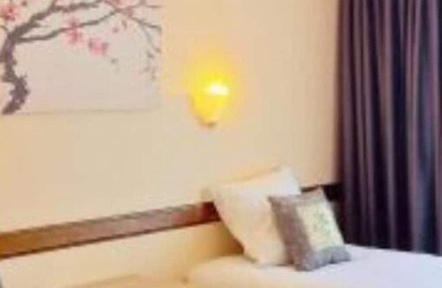 Bellerive-sur-Allier Apartment | Studio Standard Triple