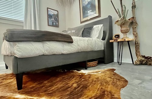 Wellborn House | College Station Midtown Cat House ~ 4 Bedroom