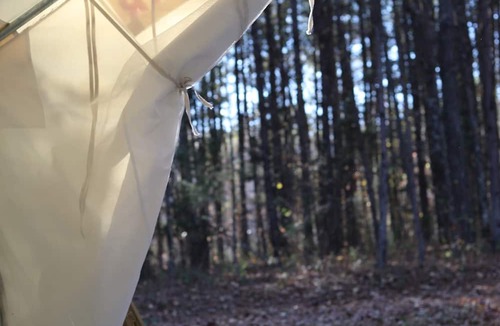 Unaka RV Rental | Starr Mountain Hideaway