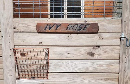 Hebron House | Rustic barn on remote 12 acre property. Private, scenic, pet friendly, bathroom