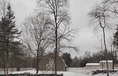 Hebron House | Rustic barn on remote 12 acre property. Private, scenic, pet friendly, bathroom