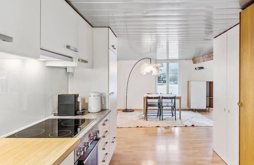 Dietikon District Apartment | Cozy Studio Charm Sum