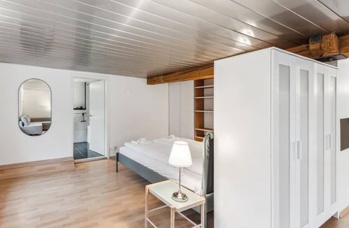 Dietikon District Apartment | Cozy Studio Charm Sum