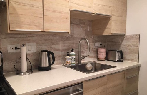 Washington Park House | HydePark001, Chinatown, UC, NavyPier, freeparking