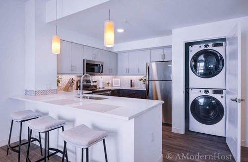 Monroe Ward Apartment | Modern Elegance-Downtown RVA!