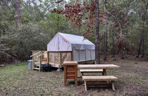 West Livingston RV Rental | Tentrr State Park Site - Texas Lake Livingston State Park - Site C - Single Camp