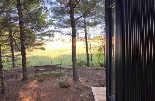 Desboro Cabin | Cozy Little Cabin in the Pines