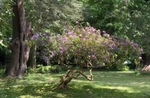 Saint-Martin-aux-Arbres House | Historic manor house in the heart of Normandie