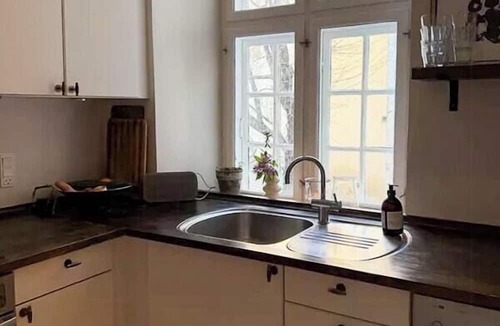 Copenhagen City Centre Apartment | Spacious flat by Nørreport in Copenhagen K