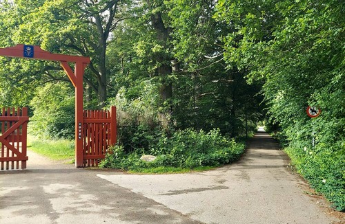 Naerum Condo | Copenhagen, minutes to Beautiful Naerum forest view 1 studio, relaxing stays