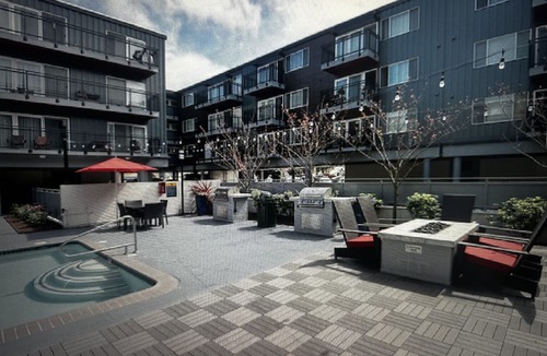 Inner Sunset Apartment | 1 BR steps from Golden Gate Park