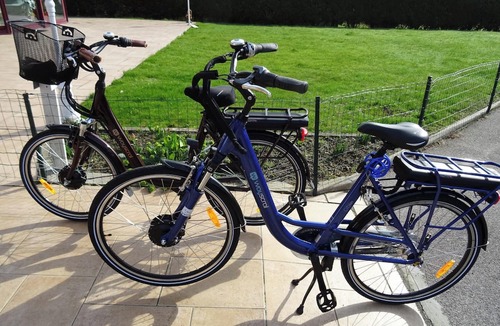 Berck-sur-Mer Apartment | Homerez - Charming Studio in Berck