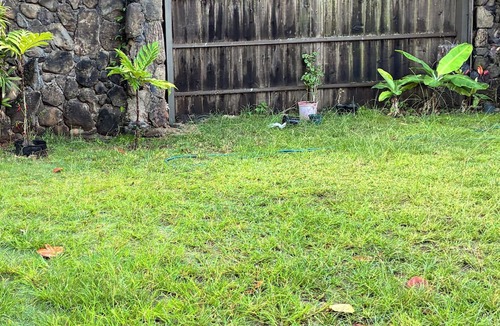Pupukea Cottage | Beachfront North Shore Studio @ Sunset Beach