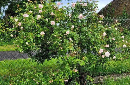 Darnac House | Country house