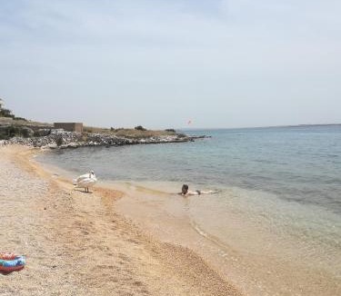 Kosljun Apartment | Apartmani Matošević, Pag-Košljun