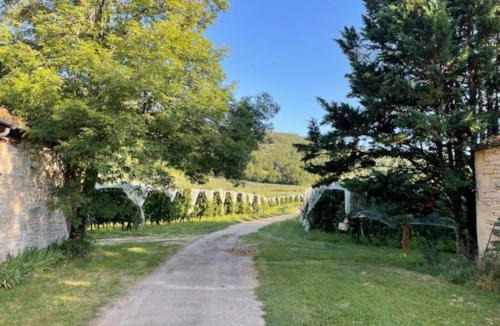 Penne House | Maison Gorges de l'Aveyron